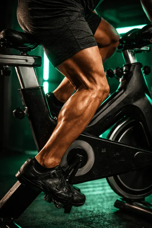 Bike Indoor